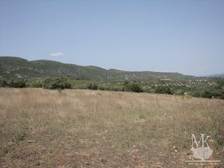 Αγροτεμάχια 14.600 τ.μ. για πώληση