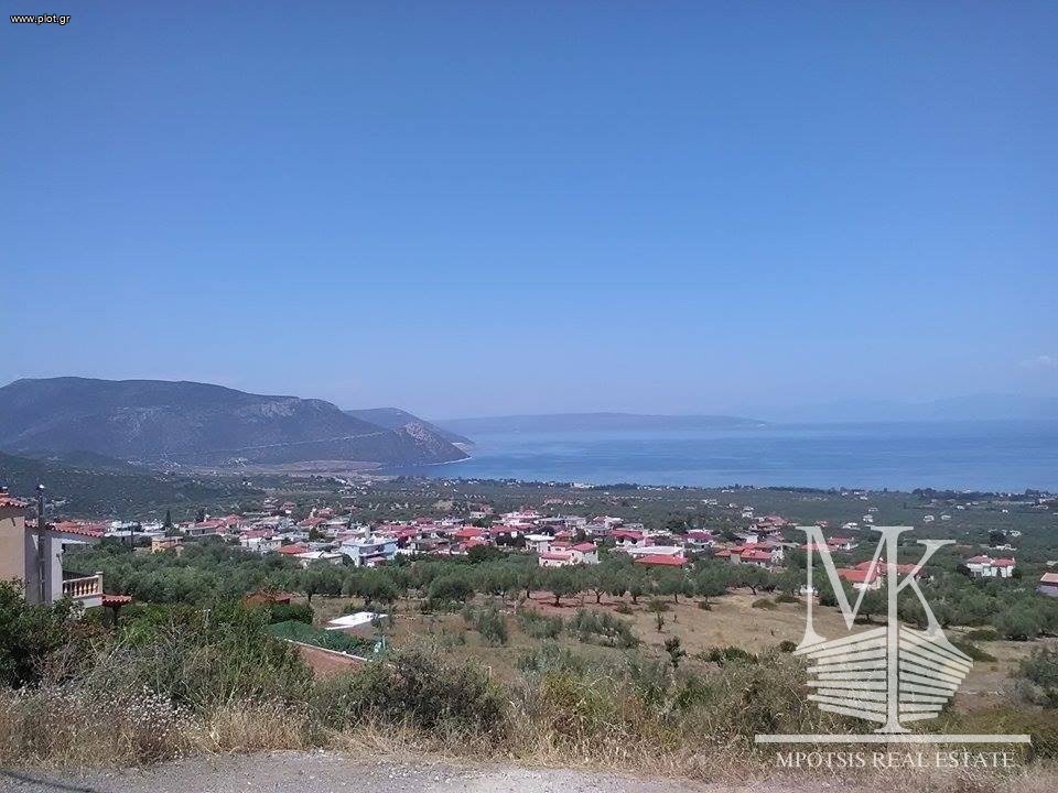 Αγροτεμάχια 6.000 τ.μ. προς πώληση, Λουκίσια
