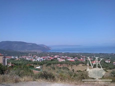 Parcel 6.000sqm for sale-Anthidonos » Loukisia