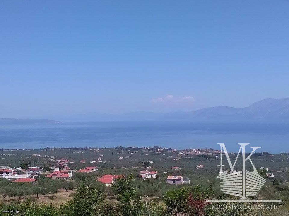Αγροτεμάχια 6.000 τ.μ. προς πώληση, Λουκίσια