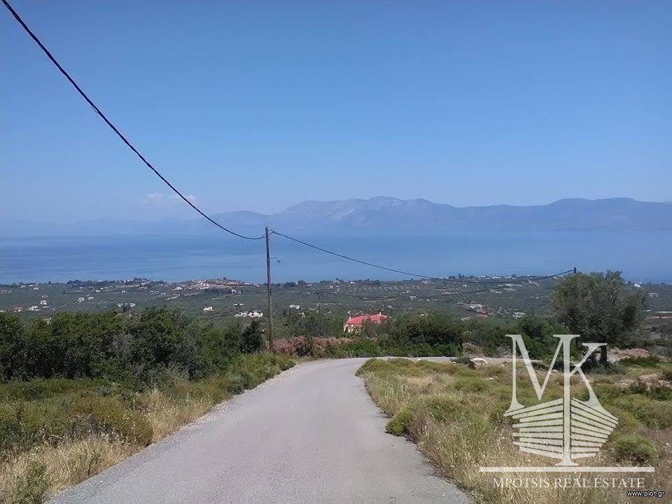 Αγροτεμάχια 6.000 τ.μ. προς πώληση, Λουκίσια