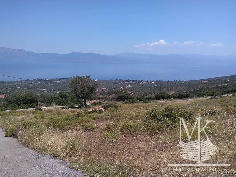 Αγροτεμάχια 6.000 τ.μ. προς πώληση, Λουκίσια