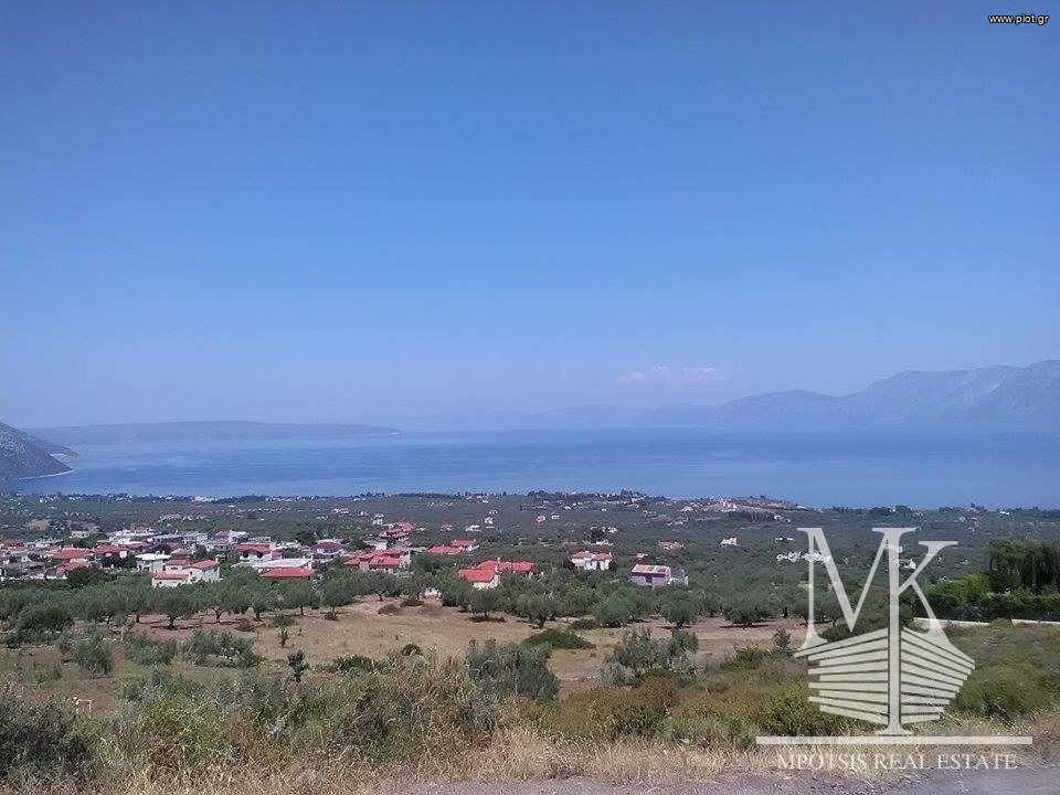 Αγροτεμάχια 6.000 τ.μ. προς πώληση, Λουκίσια