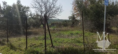 Αγροτεμάχια 600 τ.μ. για πώληση