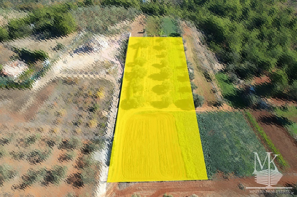 Αγροτεμάχια 5.780 τ.μ. πρός πώληση, Αττική - Υπόλοιπο, Μαρκόπουλο Ωρωπού