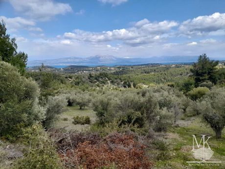 Αγροτεμάχια 4.500 τ.μ. για πώληση