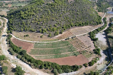 Αγροτεμάχια 7.450τ.μ. για πώληση-Συκάμινο