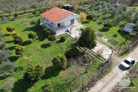 Μονοκατοικία 76τ.μ. για πώληση-Κ. σκάλας ωρωπού » Σκάλα ωρωπού