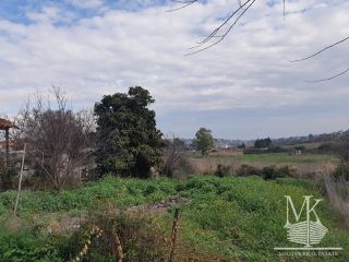 Αγροτεμάχια 250 τ.μ. για πώληση
