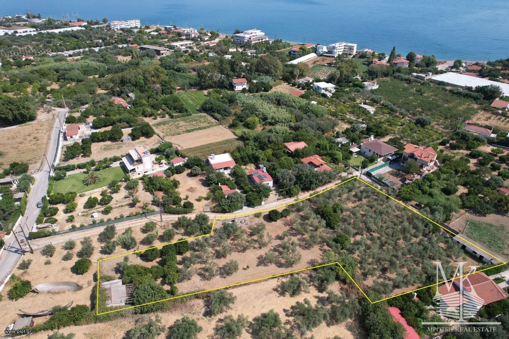 Αγροτεμάχια 3.800 τ.μ. πρός πώληση, Αττική - Υπόλοιπο, Κάλαμος