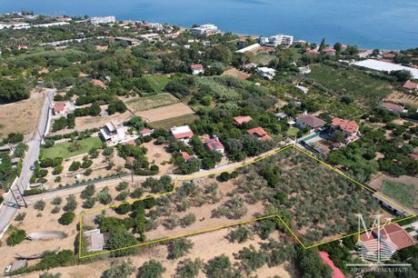 Αγροτεμάχια 3.800 τ.μ. για πώληση