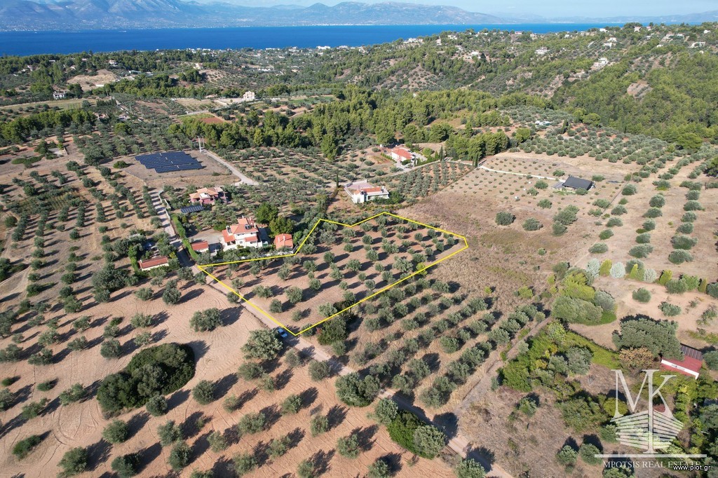 Αγροτεμάχια 5.750 τ.μ. πρός πώληση, Αττική - Υπόλοιπο, Μαρκόπουλο Ωρωπού