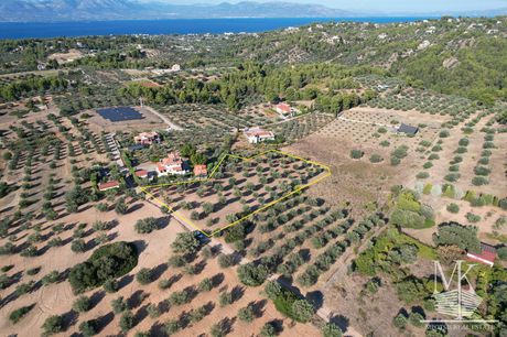 Αγροτεμάχια 5.750 τ.μ. για πώληση