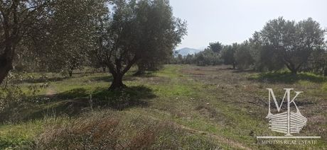 Αγροτεμάχια 7.700 τ.μ. για πώληση
