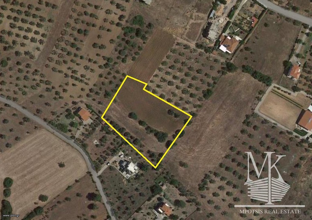 Αγροτεμάχια 5.450 τ.μ. πρός πώληση, Αττική - Υπόλοιπο, Ωρωπός