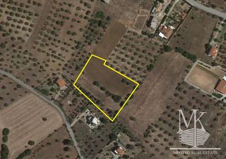Αγροτεμάχια 5.450 τ.μ. για πώληση