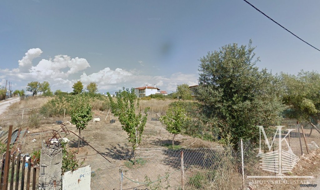 Αγροτεμάχια 576 τ.μ. πρός πώληση, Αττική - Υπόλοιπο, Συκάμινο