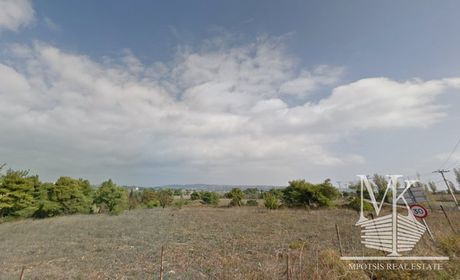 Αγροτεμάχια 6.335τ.μ. για πώληση-Κ. καπανδριτίου » Μικροχώρι