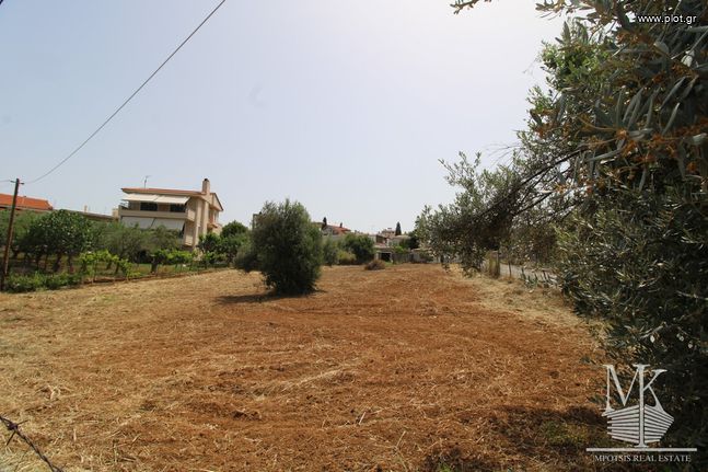 Οικόπεδο 760 τ.μ. για πώληση, Αττική - Υπόλοιπο, Μαρκόπουλο Ωρωπού