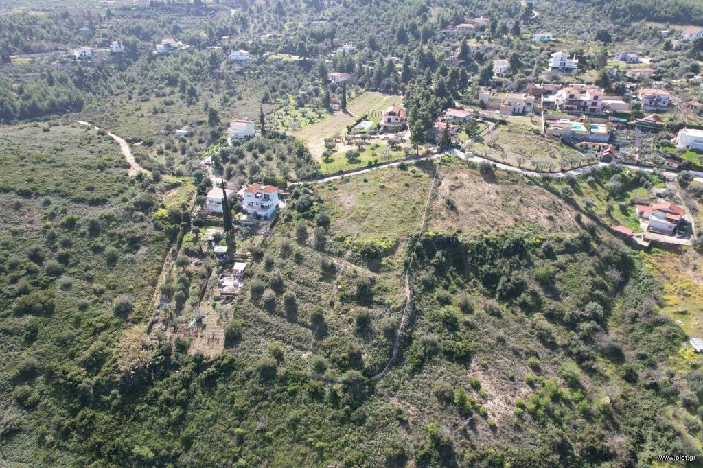 Αγροτεμάχια 5.000 τ.μ. πρός πώληση, Αττική - Υπόλοιπο, Μαρκόπουλο Ωρωπού