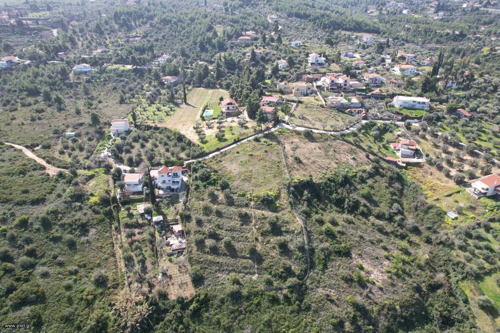Αγροτεμάχια 5.000 τ.μ. πρός πώληση, Αττική - Υπόλοιπο, Μαρκόπουλο Ωρωπού