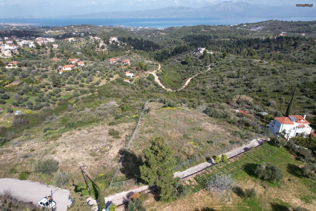 Αγροτεμάχια 5.000 τ.μ. πρός πώληση, Αττική - Υπόλοιπο, Μαρκόπουλο Ωρωπού