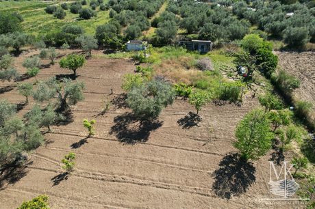 Αγροτεμάχια 3.100 τ.μ. για πώληση