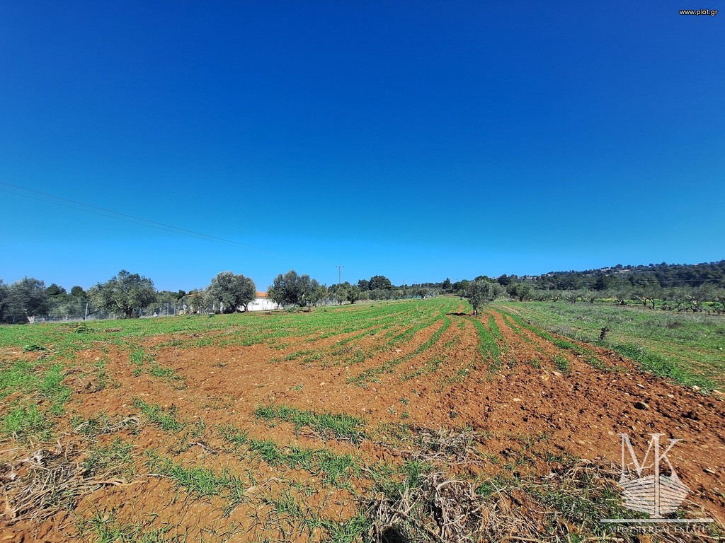 Αγροτεμάχια 4.700 τ.μ. πρός πώληση, Αττική - Υπόλοιπο, Κ. Καπανδριτίου