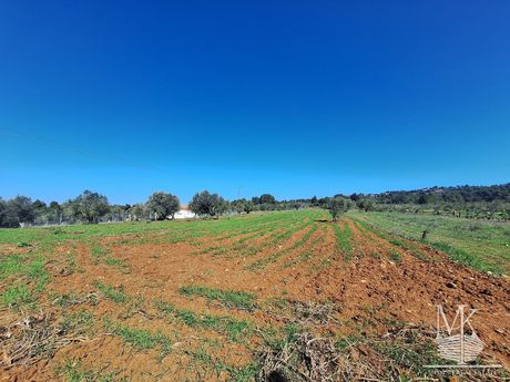 Parcel 4.700sqm for sale-Com. Kapandriti