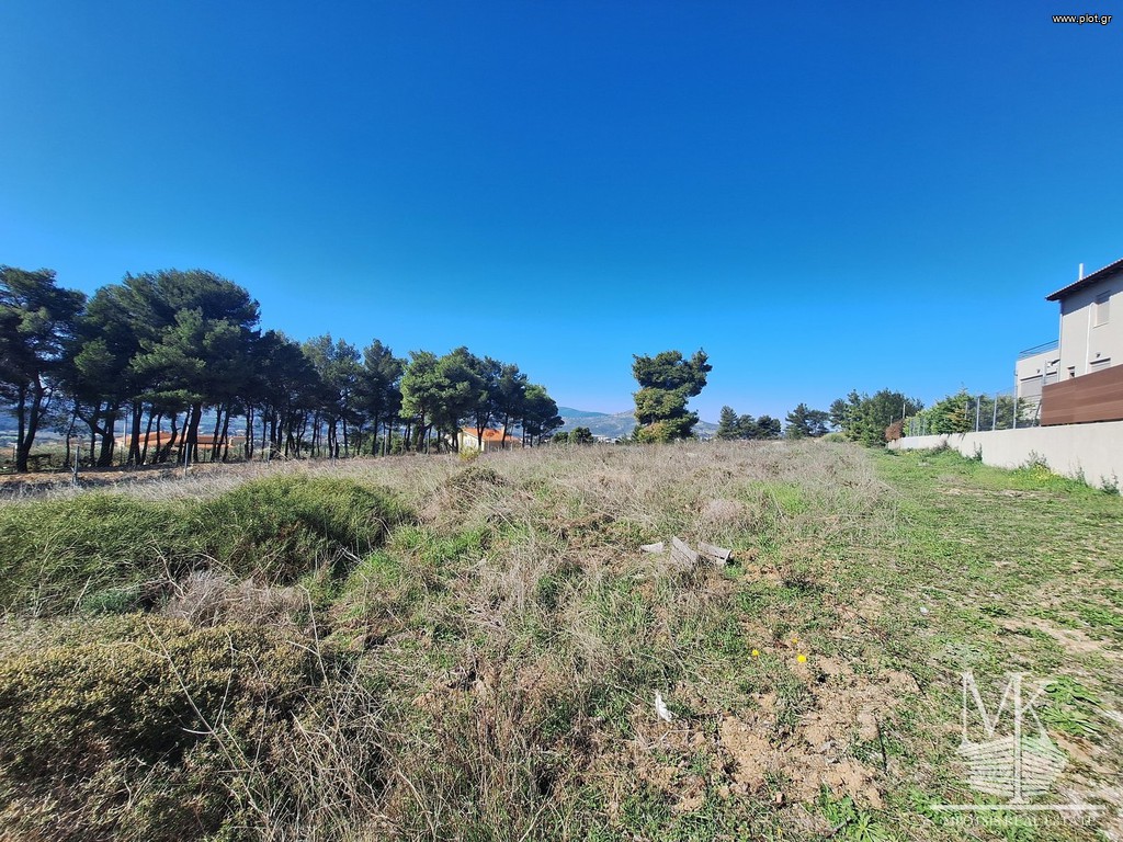 Αγροτεμάχια 4.000 τ.μ. πρός πώληση, Αττική - Υπόλοιπο, Κ. Καπανδριτίου