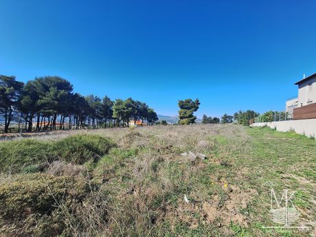 Parcel 4.000sqm for sale-Com. Kapandriti