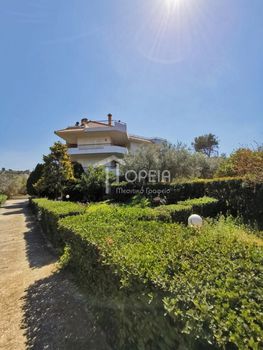 Detached home 520sqm for sale-Koropi » Agia Marina