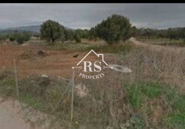 Αγροτεμάχια 4.600 τ.μ. για πώληση, Αττική - Υπόλοιπο, Βίλια