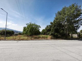 Οικόπεδο 2.198 τ.μ. προς πώληση, Γλαύκος-thumb-6