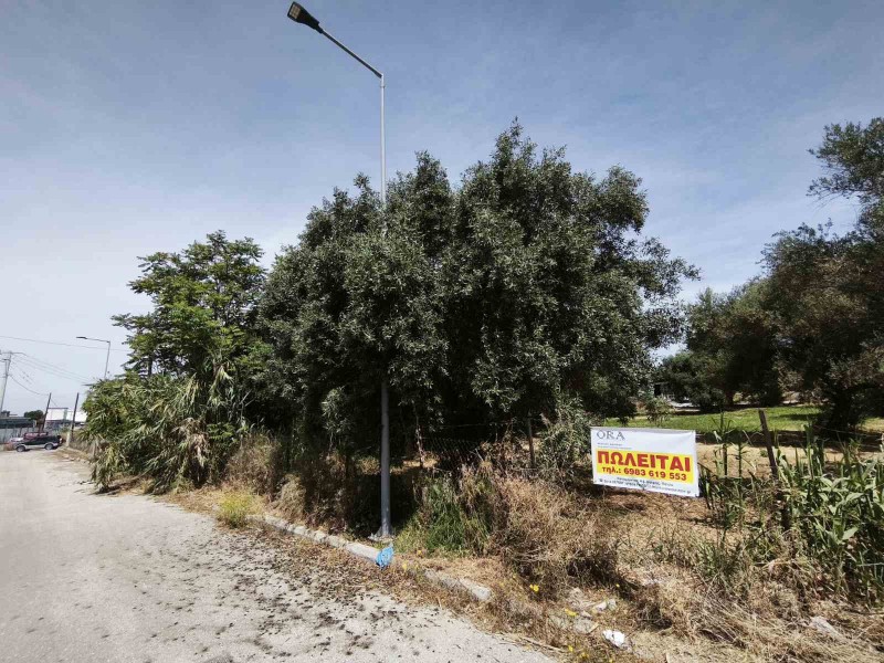 Οικόπεδο 2.198 τ.μ. προς πώληση, Γλαύκος