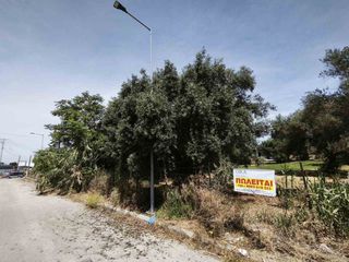 Οικόπεδο 2.198 τ.μ. προς πώληση, Γλαύκος-thumb-2
