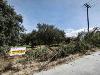 Οικόπεδο 2.198 τ.μ. προς πώληση, Γλαύκος-thumb-9