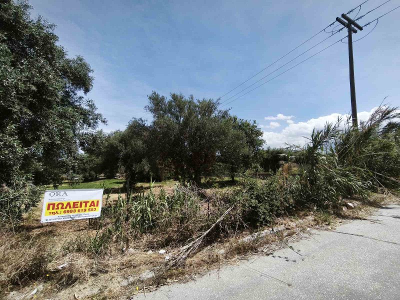 Οικόπεδο 2.198 τ.μ. προς πώληση, Γλαύκος