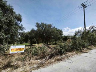 Οικόπεδο 2.198 τ.μ. προς πώληση, Γλαύκος-thumb-4