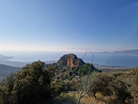 Αγροτεμάχια 4.403τ.μ. για πώληση-Αγριά » Ανεμούτσα