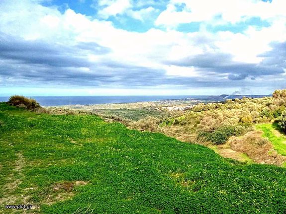 Αγροτεμάχια 14.100 τ.μ. για πώληση, Ν. Ρεθύμνου, Αρκάδι