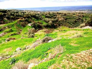 Αγροτεμάχια 14.100 τ.μ. για πώληση, Ν. Ρεθύμνου, Αρκάδι-thumb-1