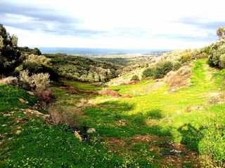 Αγροτεμάχια 14.100 τ.μ. για πώληση, Ν. Ρεθύμνου, Αρκάδι-thumb-4