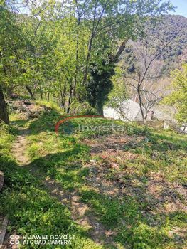 Οικόπεδο 750τ.μ. για πώληση-Μηλιές » Πινακάτες