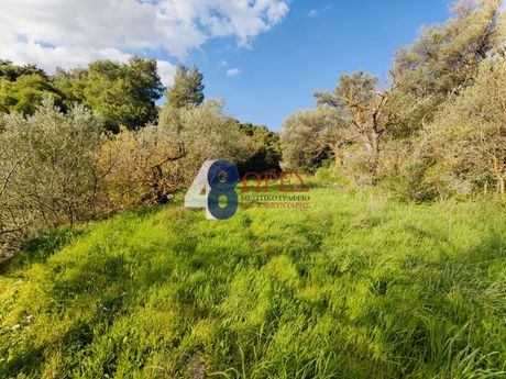 Οικόπεδο 1.915τ.μ. για πώληση-Χίος » Πόλη χίου