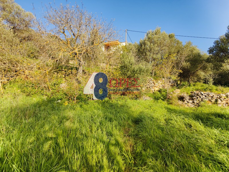 Οικόπεδο 1.915 τ.μ. προς πώληση, Πόλη Χίου