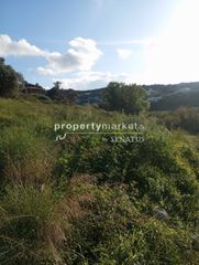 Οικόπεδο 5.600 τ.μ. για πώληση, Ν. Ρεθύμνου, Αρκάδι-thumb-7