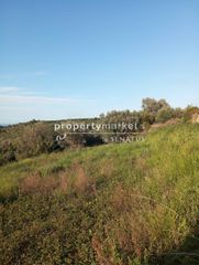 Οικόπεδο 5.600 τ.μ. για πώληση, Ν. Ρεθύμνου, Αρκάδι-thumb-9