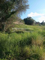 Οικόπεδο 5.600 τ.μ. για πώληση, Ν. Ρεθύμνου, Αρκάδι-thumb-5