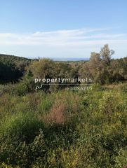 Οικόπεδο 5.600 τ.μ. για πώληση, Ν. Ρεθύμνου, Αρκάδι-thumb-8